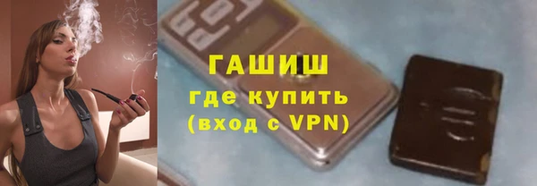 дживик Няндома