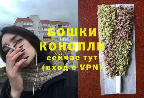 круглые Осинники