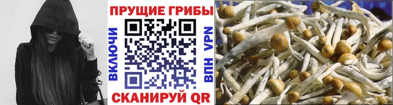 Псилоцибиновые грибы MAGIC MUSHROOMS Костерёво